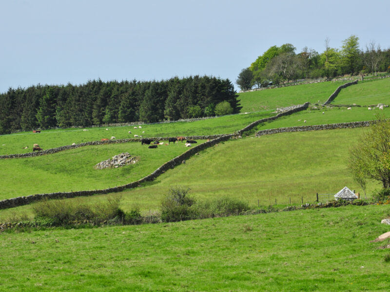 NGNP - Agricultural - Farming