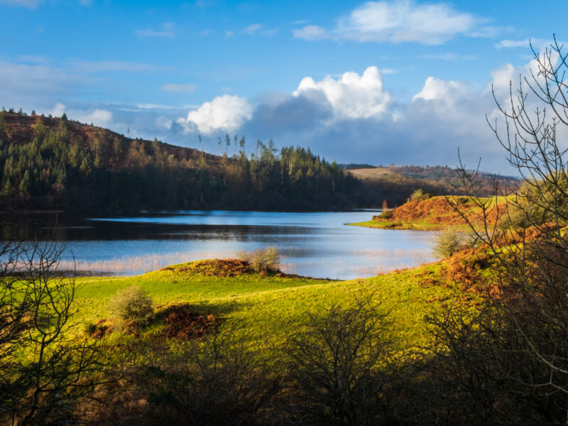 NGNP - Galloway Loch - Timetable