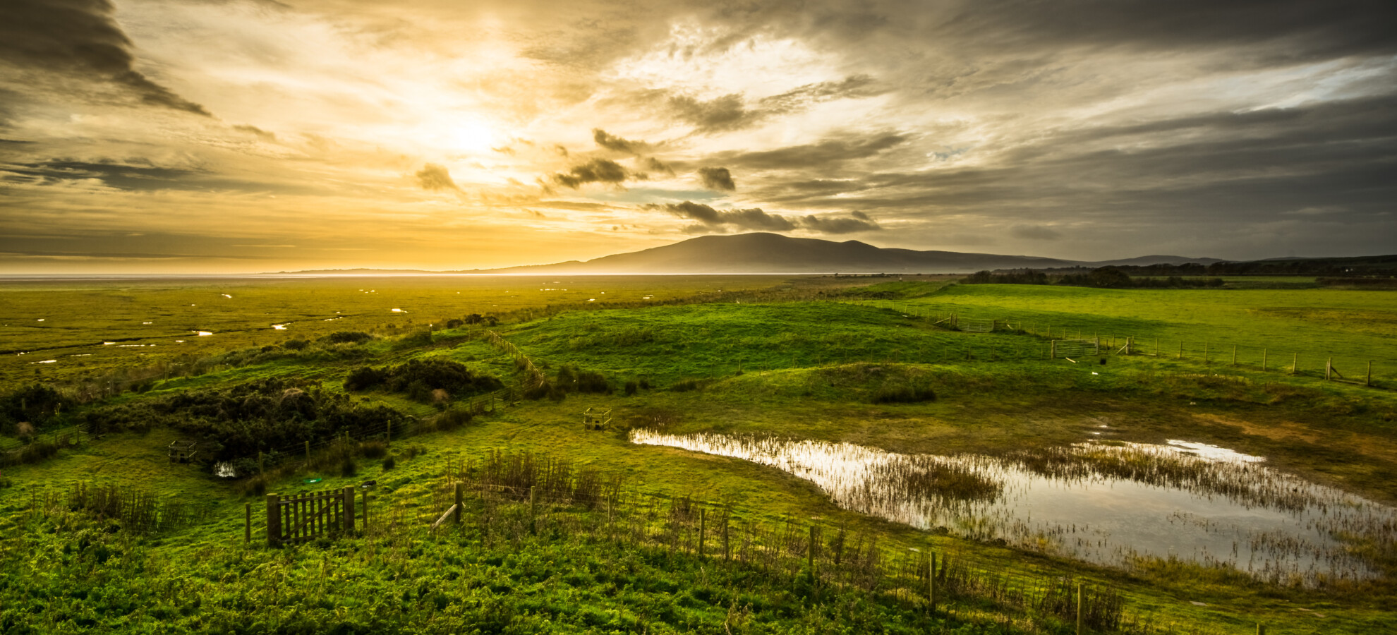 NGNP - Wetlands Banner