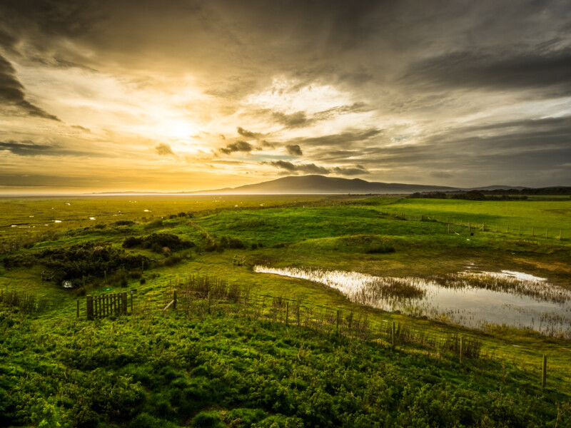 NGNP - Wetlands Banner